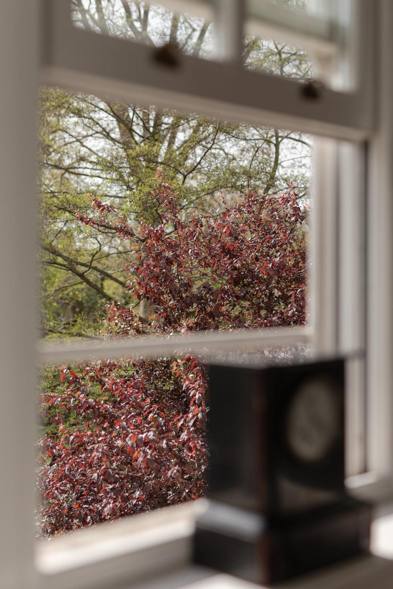 Appartamento Superb 1bed Flat In Maida Vale Londra